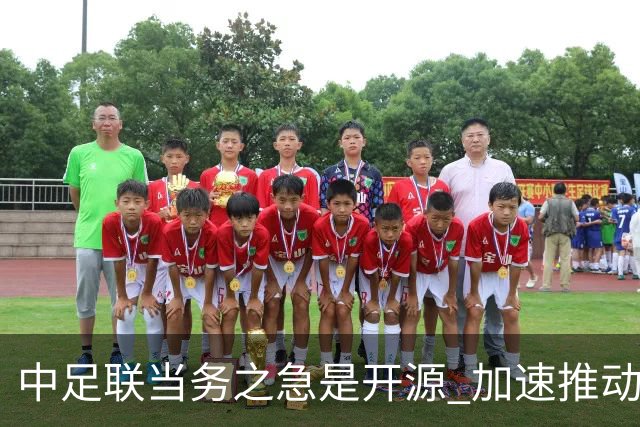 中足联当务之急是开源 加速推动中国足球职业化